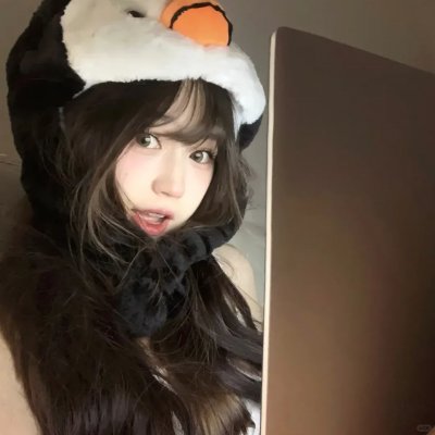 两条牛仔龙